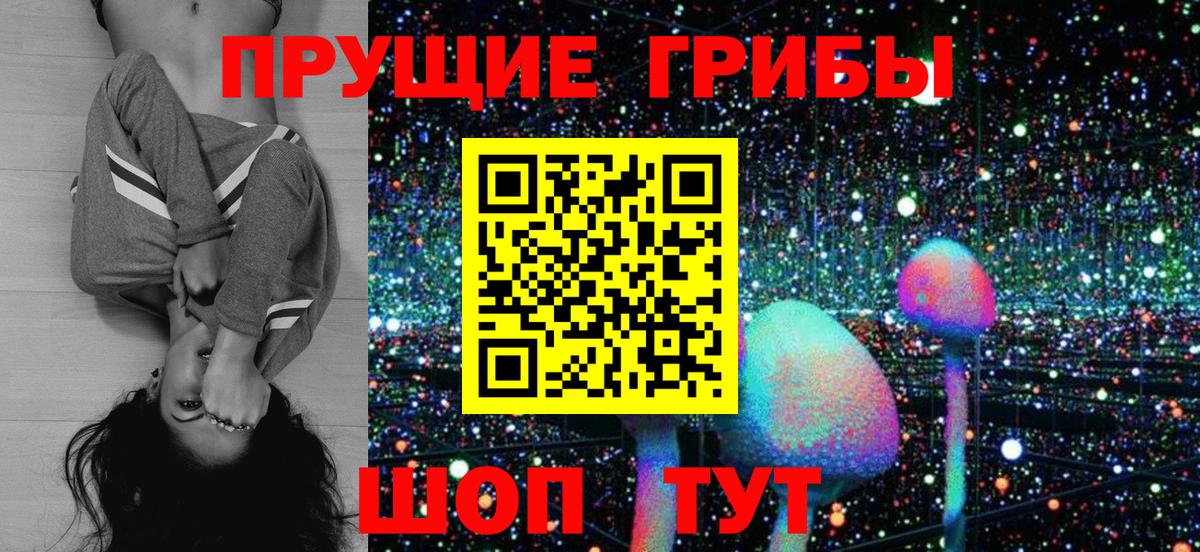 Псилоцибиновые грибы Magic Shrooms  Вход с VPN  Псилоцибиновые грибы GOLDEN TEACHER  Славгород 